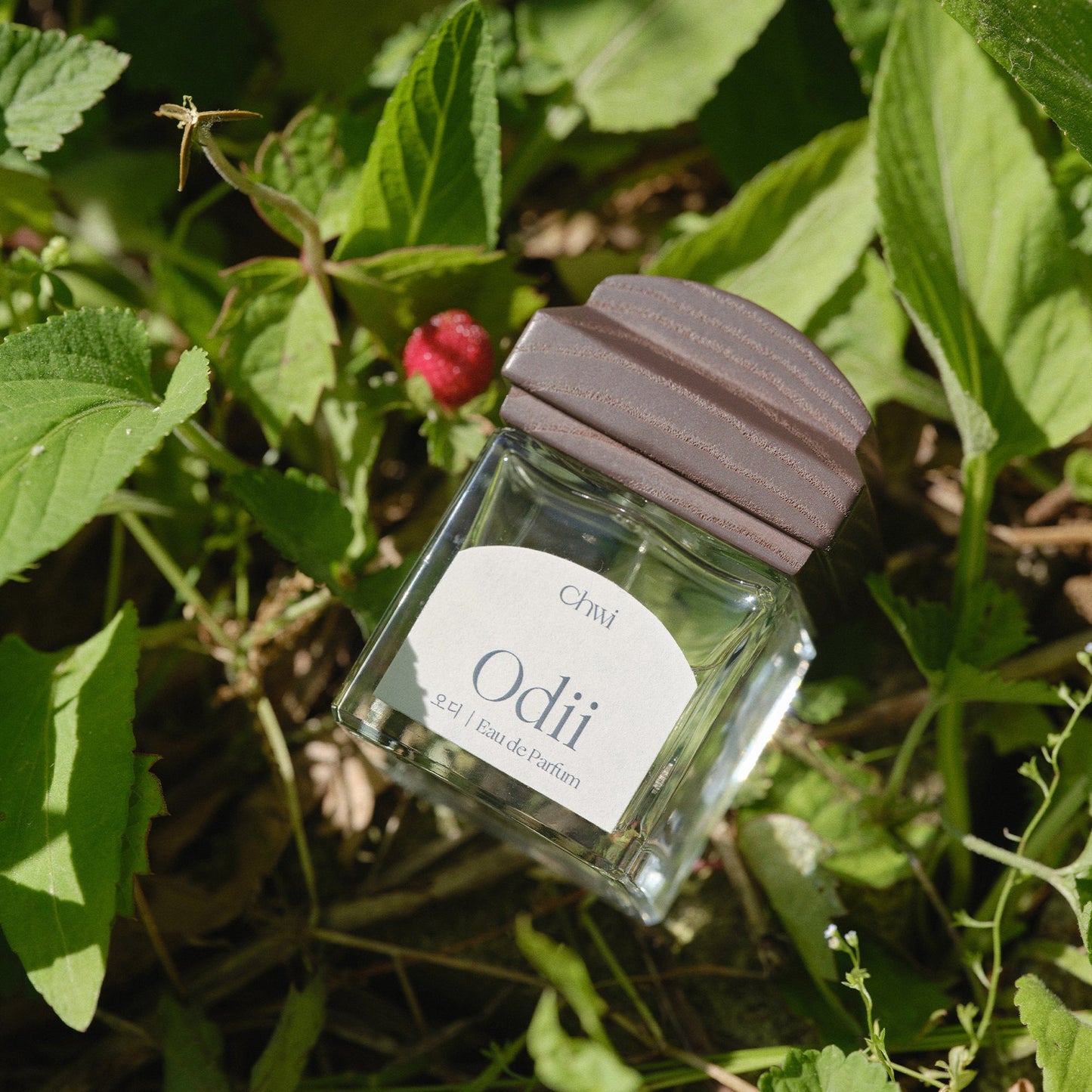 Eau De Parfum - Odii (50ml)