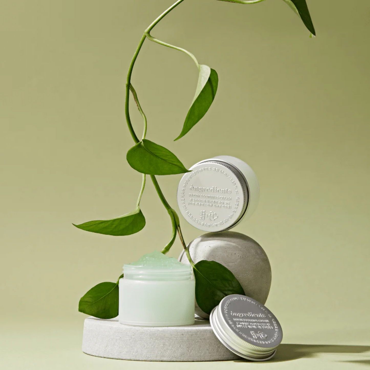 Fresh Soothing Cream (50ml)