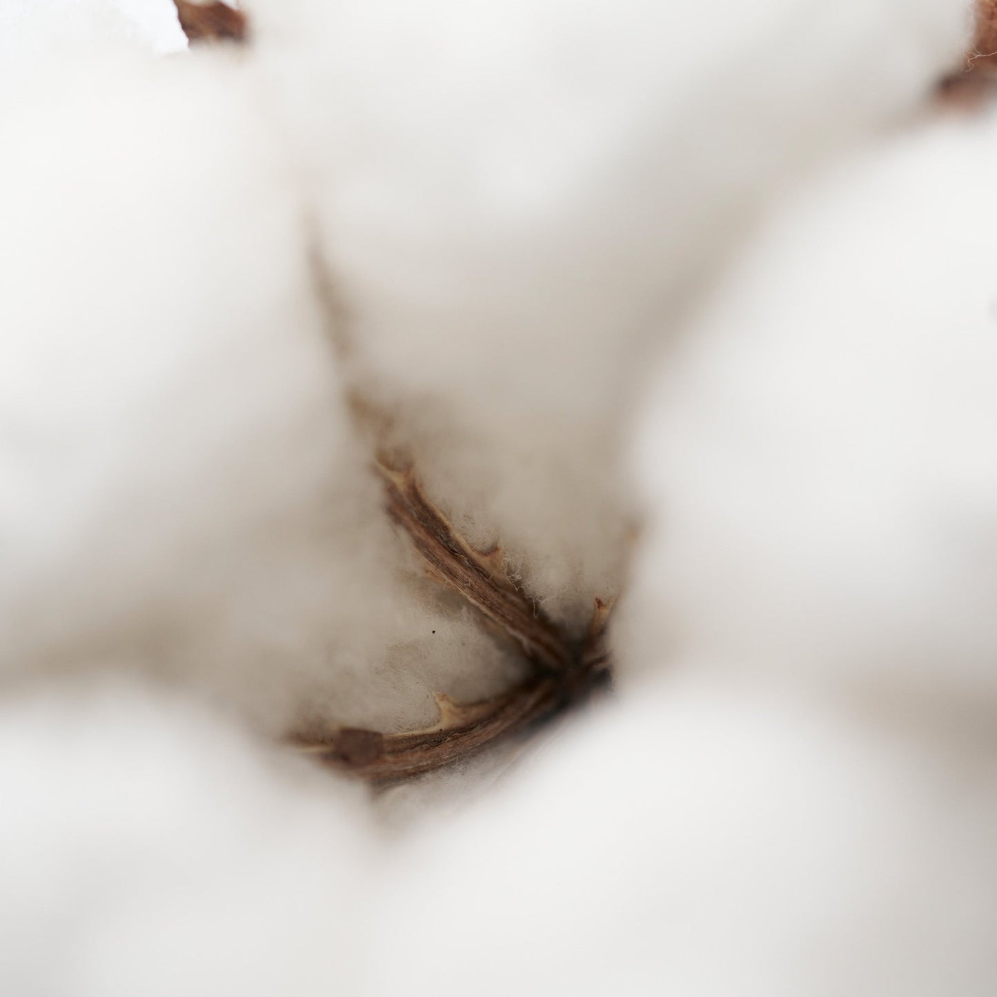 Solid Perfume Naked Musk 103 (30g)