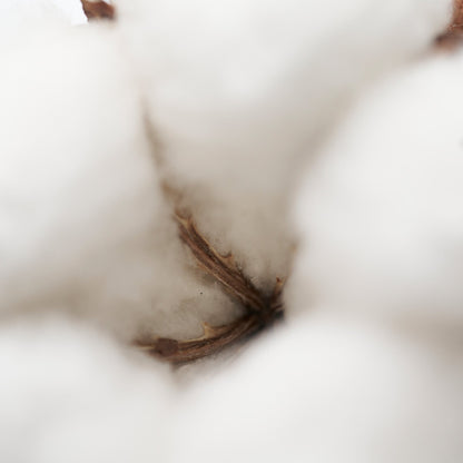 Solid Perfume Naked Musk 103 (30g)