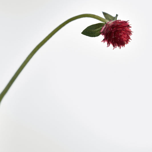 Solid Perfume Naked Wild Flower 402 (30g)