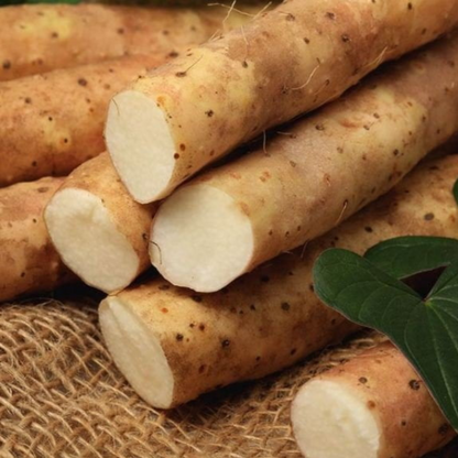 Yam Root Vegan Milk Toner (200ml)