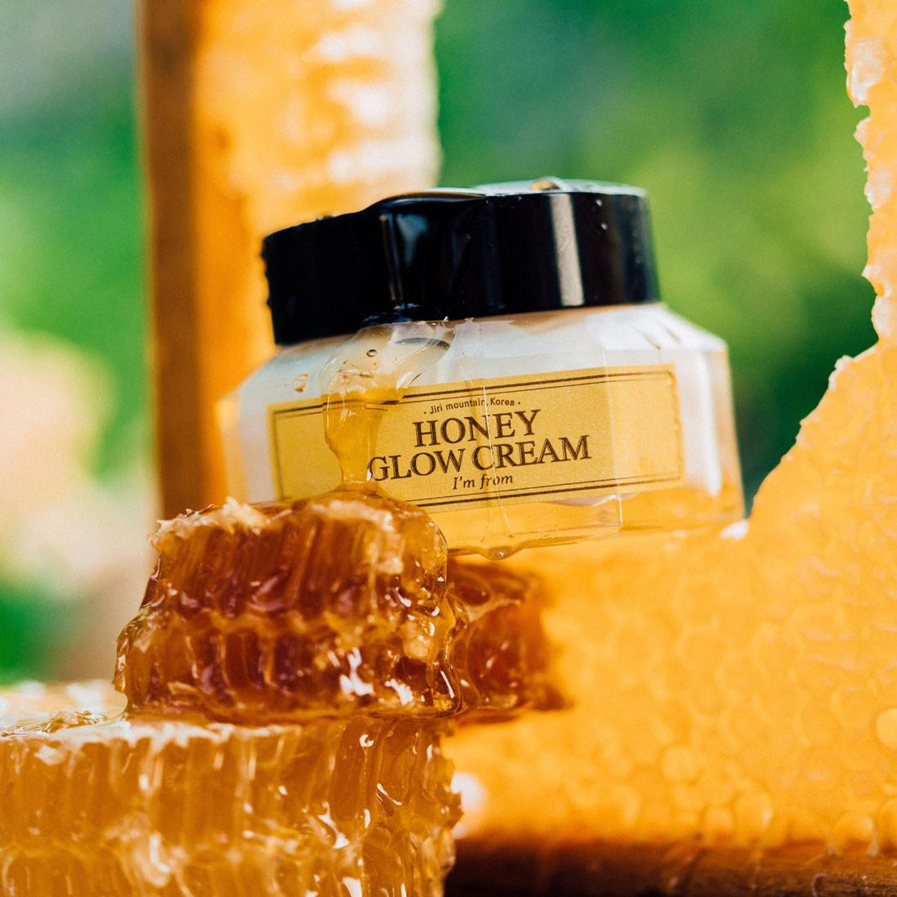 Honey Glow Cream (50g)