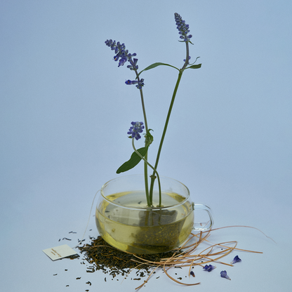 Essayist Eau de Toilette (30ml)