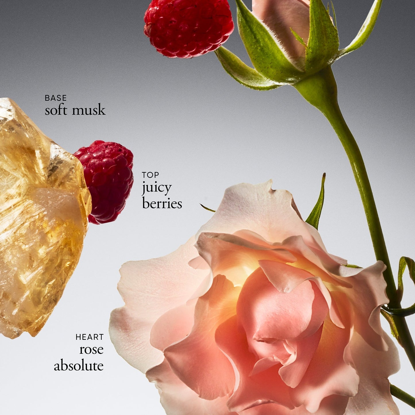 amazing grace intense hydrating shower gel