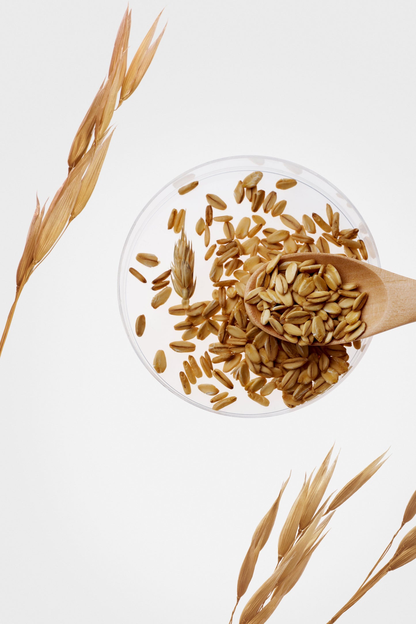 Oat-In Calming Gel Cream (100ml)