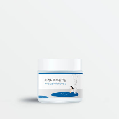 Birch Juice Moisturising Cream (80ml)