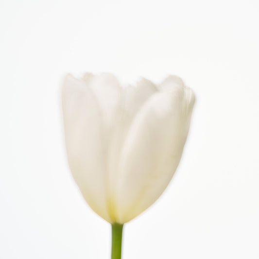 Eau De Parfum The First (50ml)